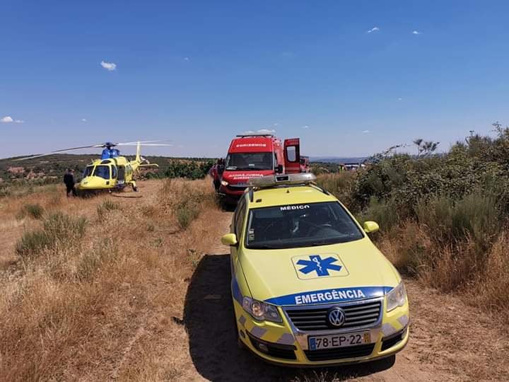 Homem fica ferido com gravidade depois de cair de árvore em Quintela de Lampaças
