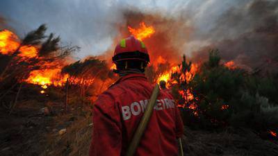 Mais de 200 operacionais combatem incêndios em Vinhais e Vila Flor