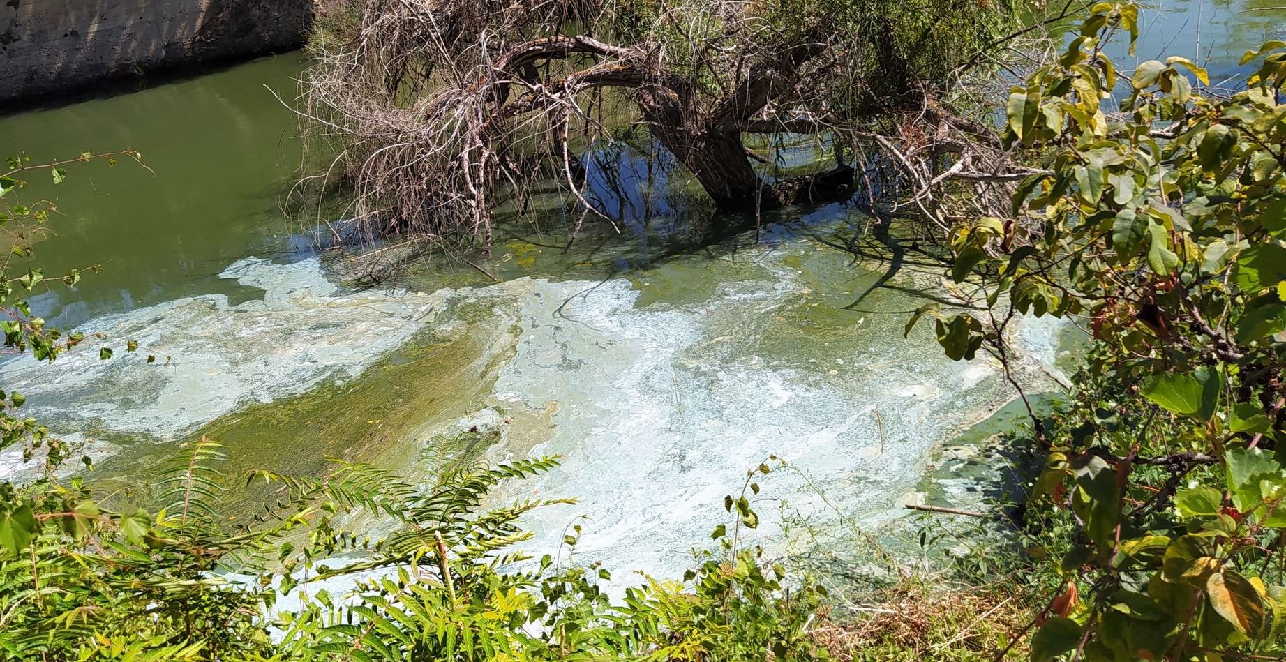 Rio Douro em Vilarinho da Castanheira com manchas e espuma preocupa BE