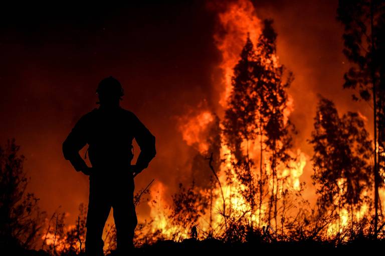 Agricultor detido em Mirandela suspeito de ser responsável pelo incêndio de ontem