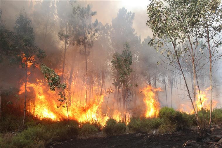 Incêndio consome mato perto da zona da pedreira na localidade de Felgar