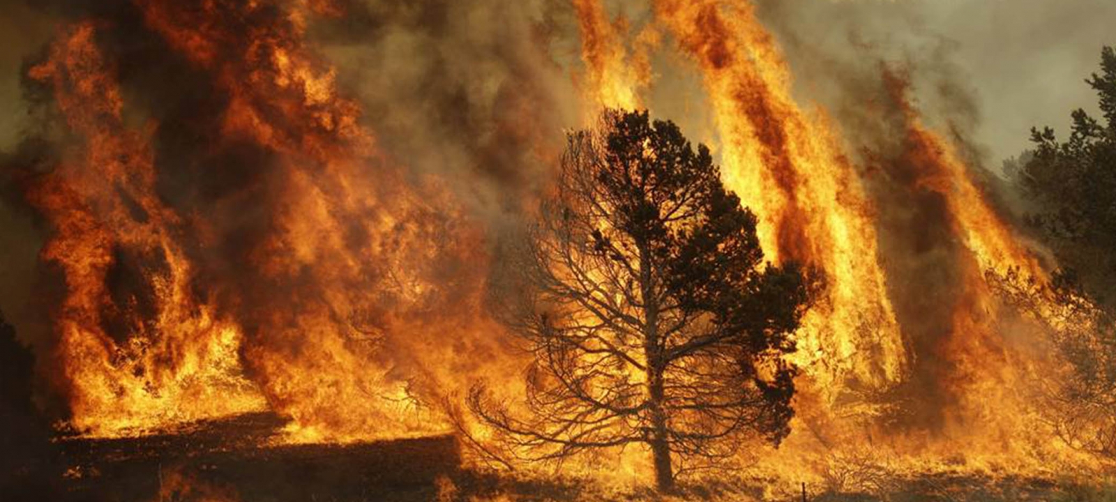 Incêndio em Torre de Moncorvo reacendeu durante a tarde