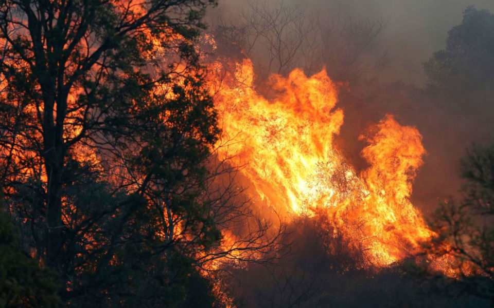 Detido suspeito de incêndio em Mirandela