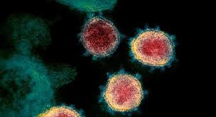 Seis novos casos de infecção por Covid-19 em Macedo de Cavaleiros