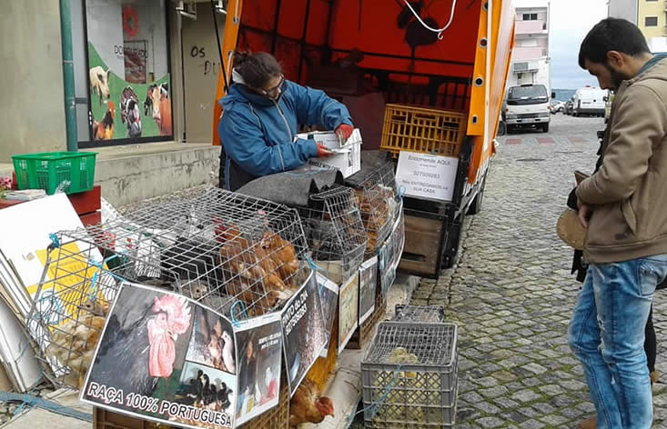 Feira volta a realizar-se em Izeda