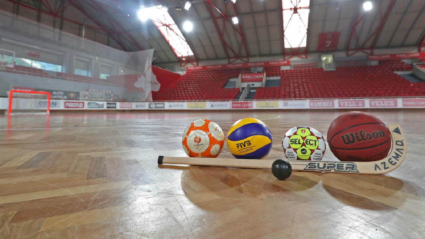 Covid-19: Modalidades são classificadas consoante o risco e testes ficam ao critério de federações e clubes