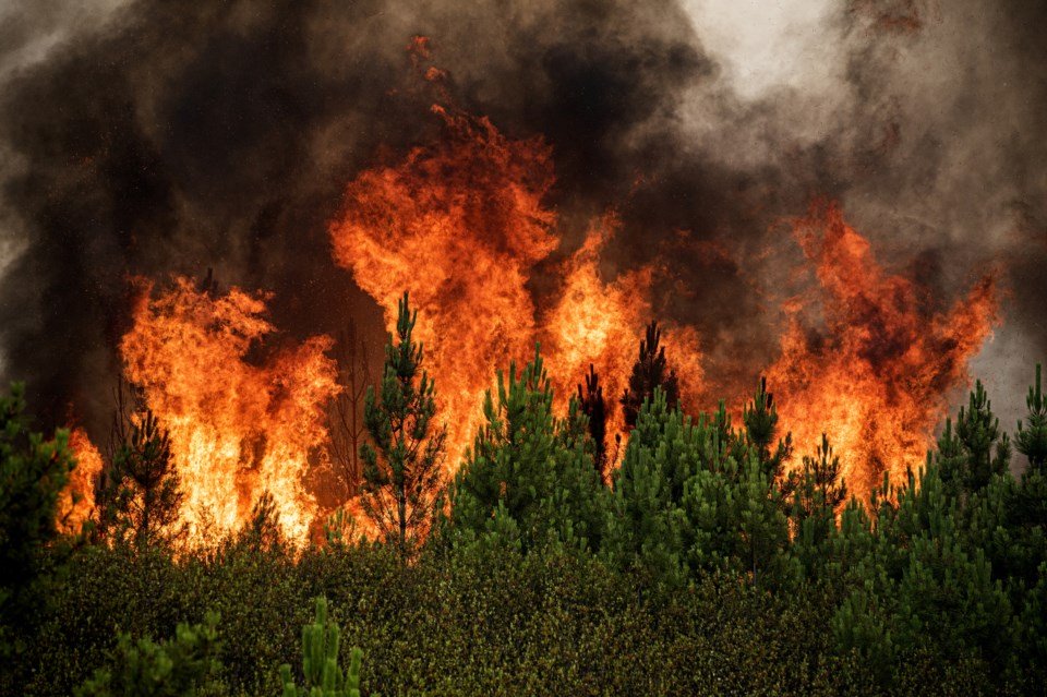 Drones de vigilância de incêndios estão a operar desde Mirandela
