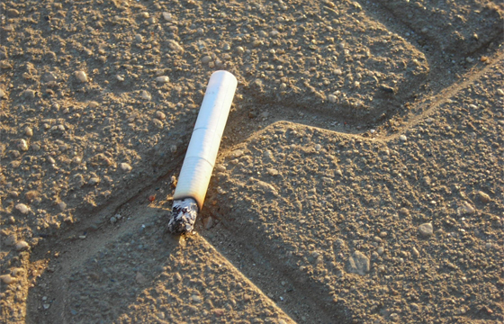 Brigantinos aplaudem lei para multar quem atire beatas para o chão