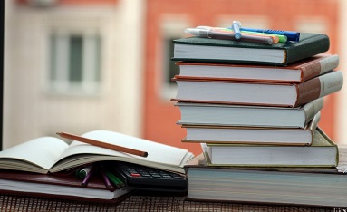 Município de Vinhais vai atribuir bolsas de estudo a alunos do ensino superior