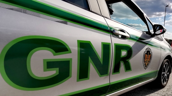 GNR deteve homem por cultivo de droga em Mogadouro