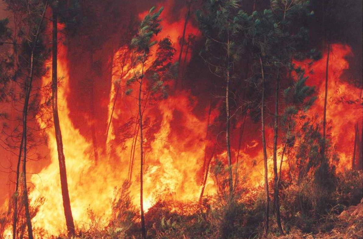 Incêndio lavrou mato ao longo do fim-de-semana em Vinhais