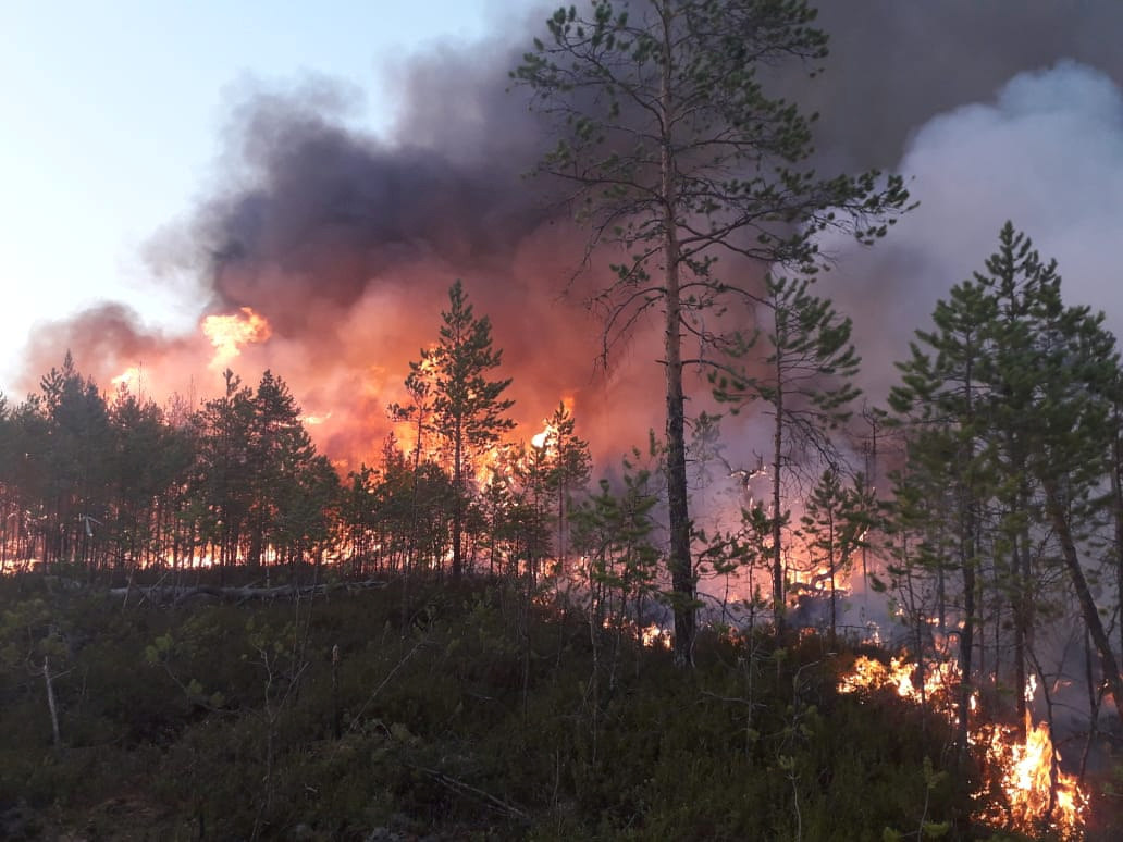 Detido suspeito de atear incêndio florestal em Vinhais
