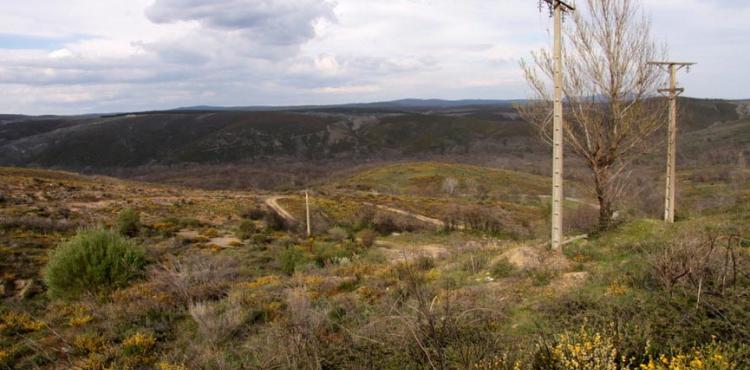 Matos Fernandes diz que governo português não pode decidir sobre as minas de outro país