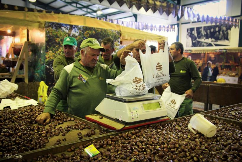 Rural Castanea e Feira Internacional do Norte canceladas por causa da pandemia