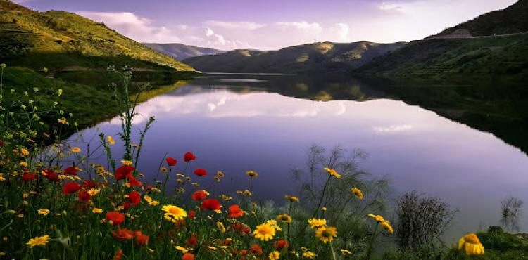 Turismo cresceu na região mas não compensou quebra sentida durante o ano