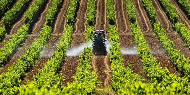 Delegações da DRAP Norte foram reestruturadas e passam a coincidir com território de cada CIM