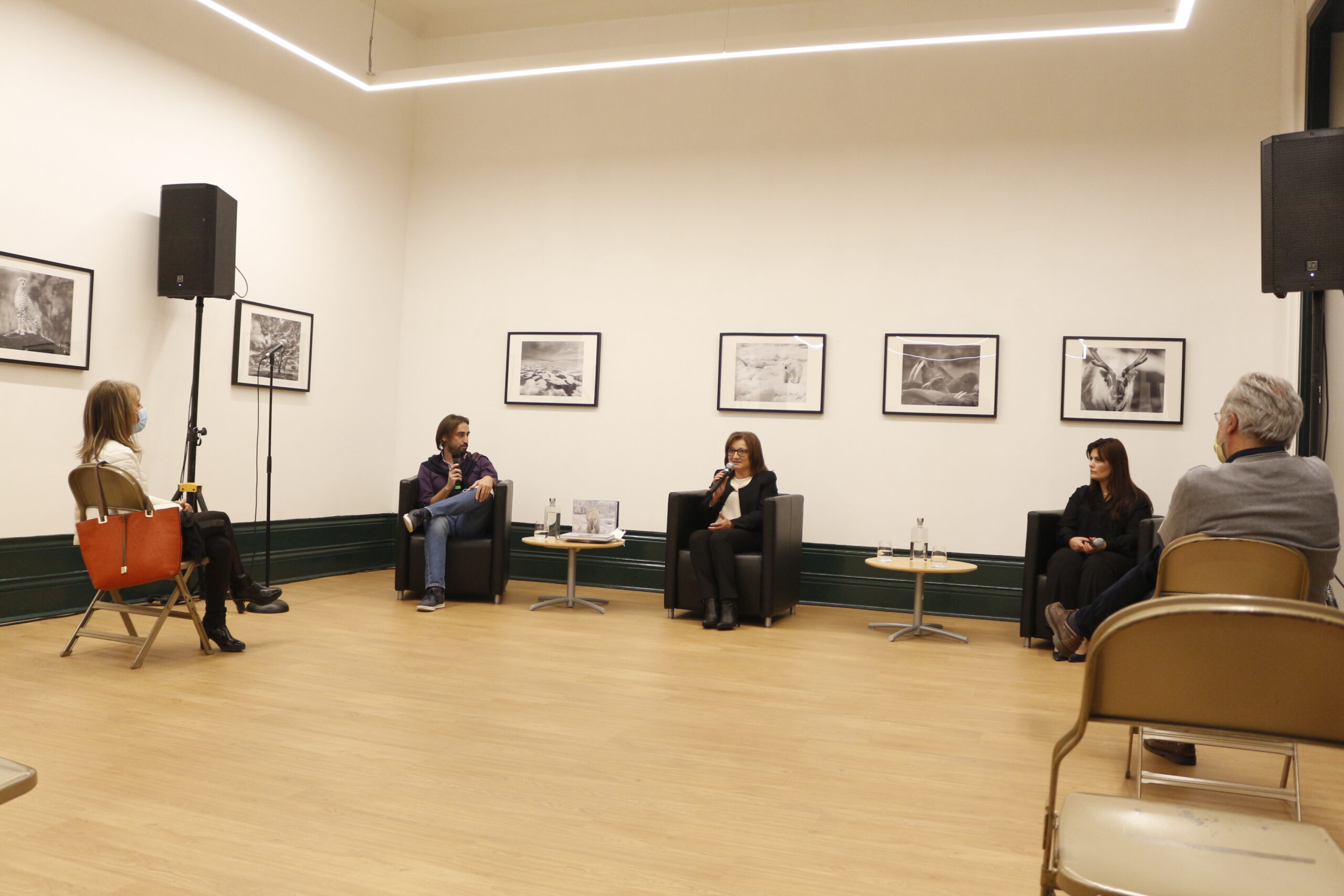 Conversas com arte à volta da exposição de Pedro Rego