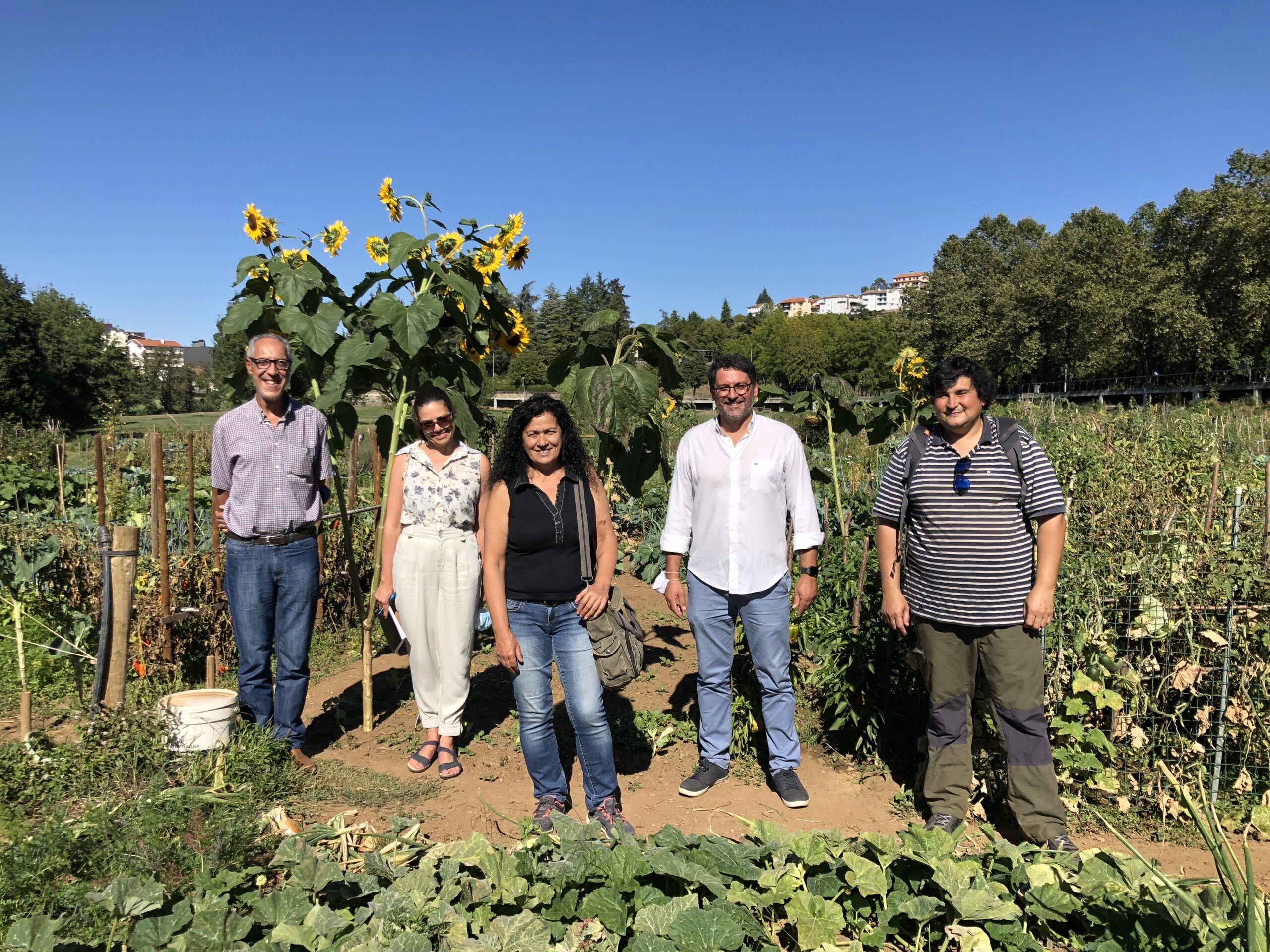 IPB cria sistema de rega para economizar água nas hortas comunitárias