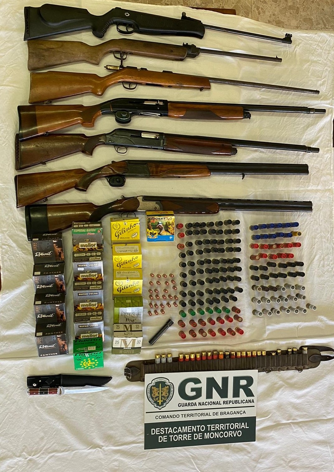 Apreendidas sete armas de fogo e mais de 500 munições em Moncorvo