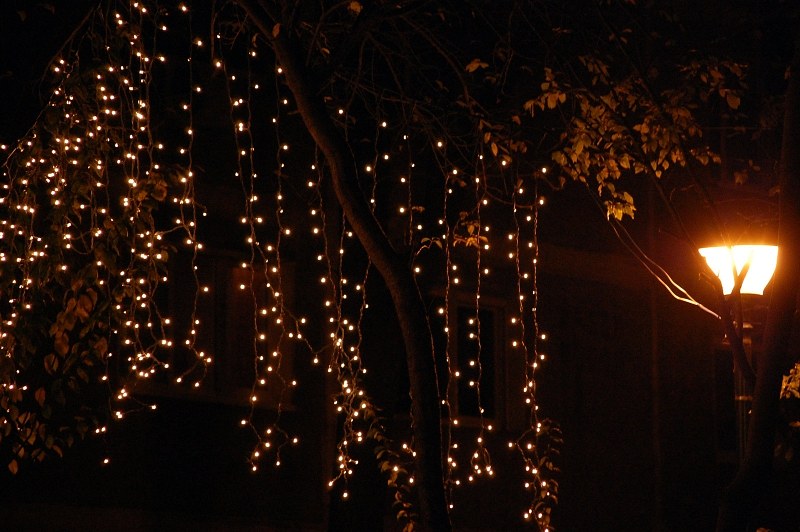Oposição de Vinhais critica os mais 8 mil euros que vão ser gastos em iluminação de Natal