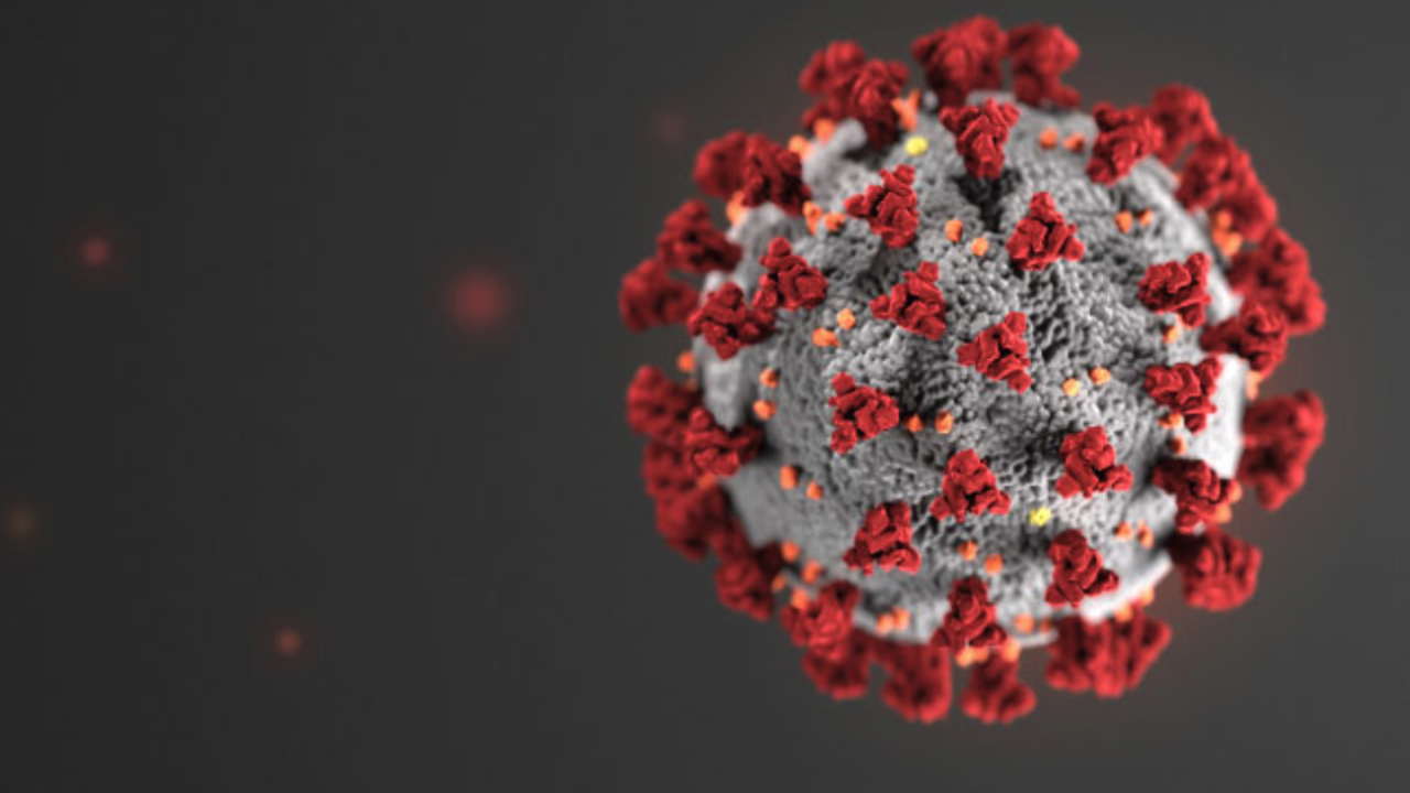 António Costa anuncia novas medidas: está proibida a circulação entre concelhos nos próximos feriados