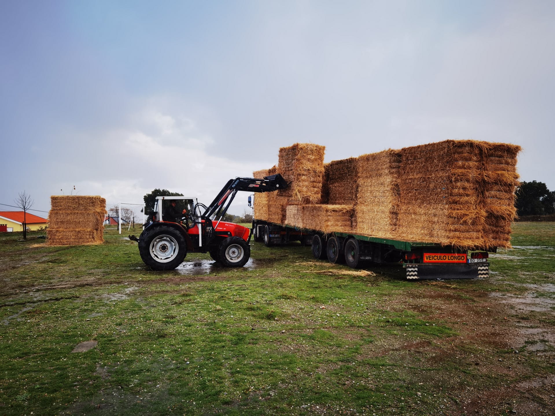 Município de Moncorvo distribuiu fardos de palha a pastores afectados pelo incêndio de Agosto