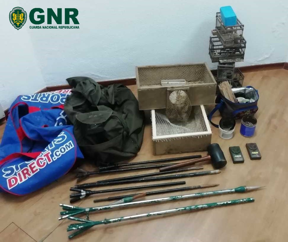 Dois homens detidos em flagrante por caça ilegal no concelho de Macedo de Cavaleiros