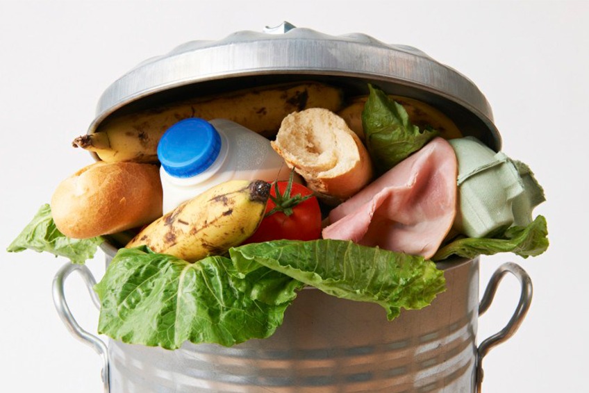 Várias entidades de Bragança envolvem-se no “BIOma” para combater o desperdício alimentar