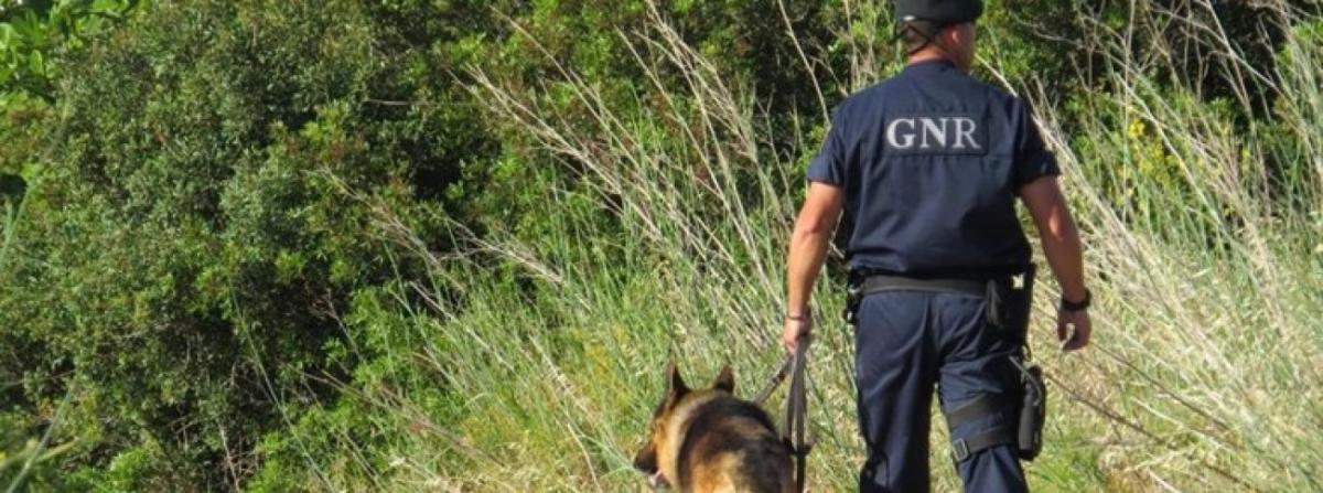 Homem desaparecido no concelho de Mirandela