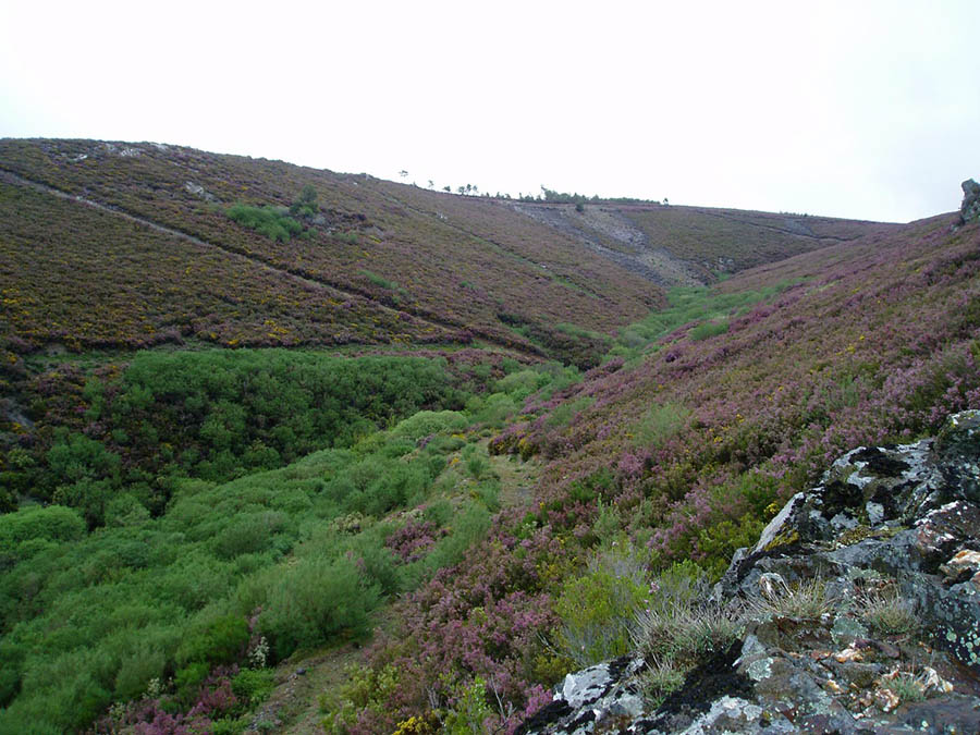 Zasnet teme que mina retire selo da Unesco à reserva da biosfera da Meseta Ibérica