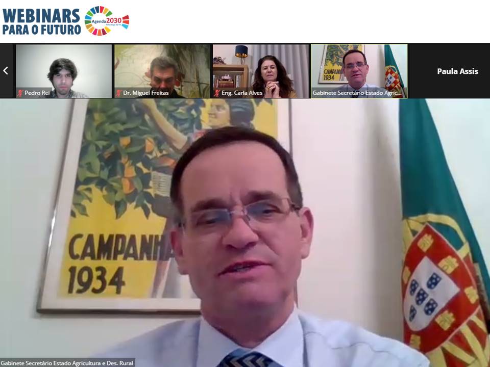 Alfândega promove debate sobre Agricultura, Agro-indústria e Florestas