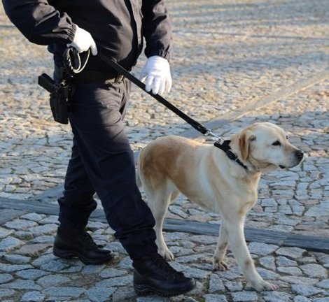 Mulher está desaparecida no concelho de Mogadouro desde ontem
