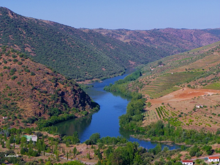 ICNF lança projecto de recuperação e protecção de espécies no Douro Internacional