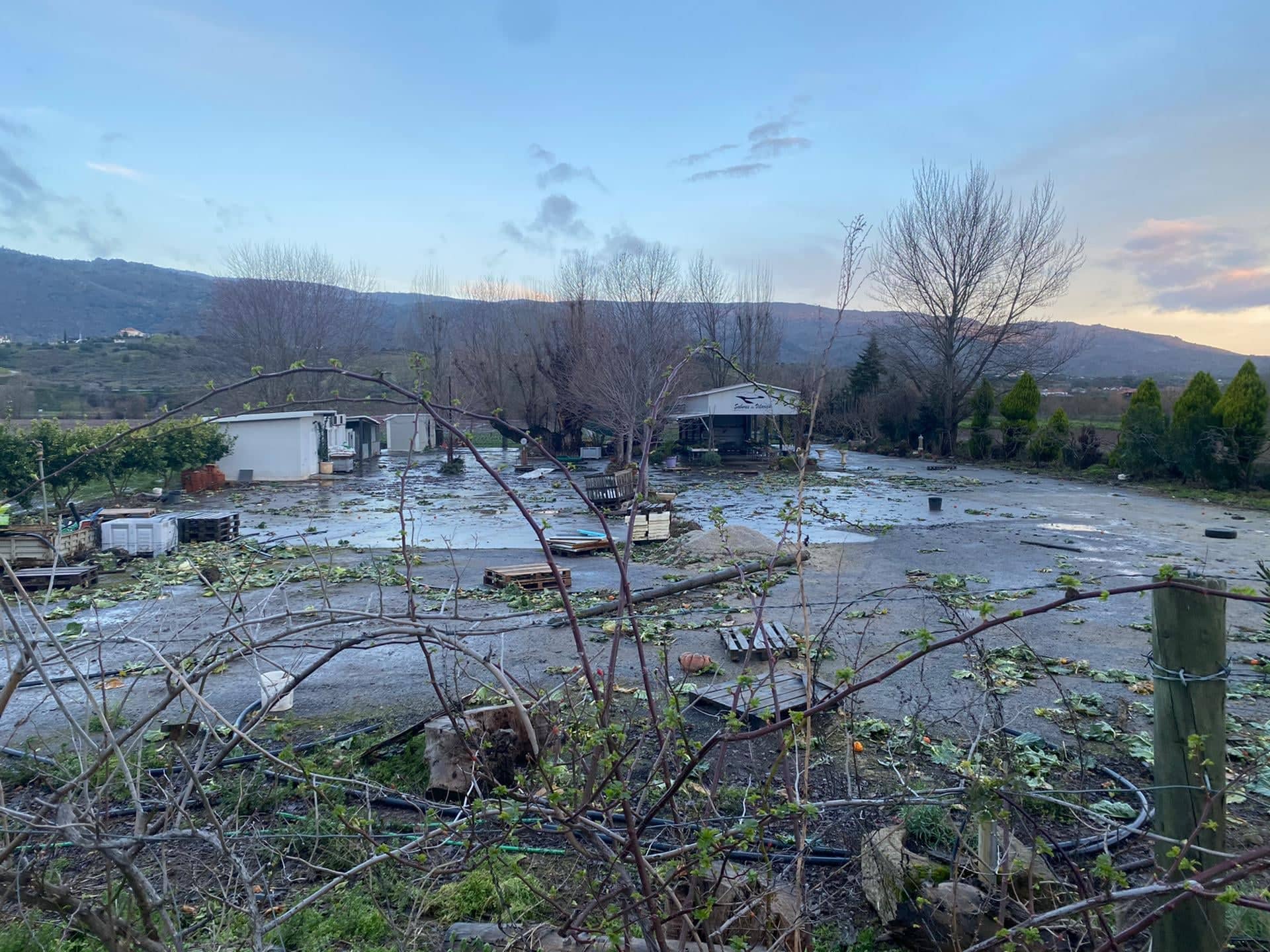 Culturas agrícolas na Foz do Sabor voltam a ser destruídas pela subida do caudal do rio