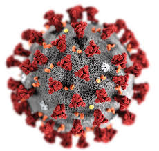 Covid-19:Recorde de recuperados faz cair número de infecções no distrito em quase 50%