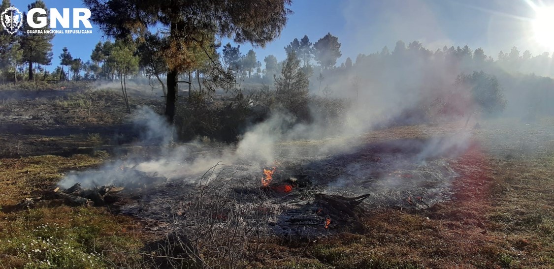 Idoso detido por incêndio florestal no concelho de Mirandela