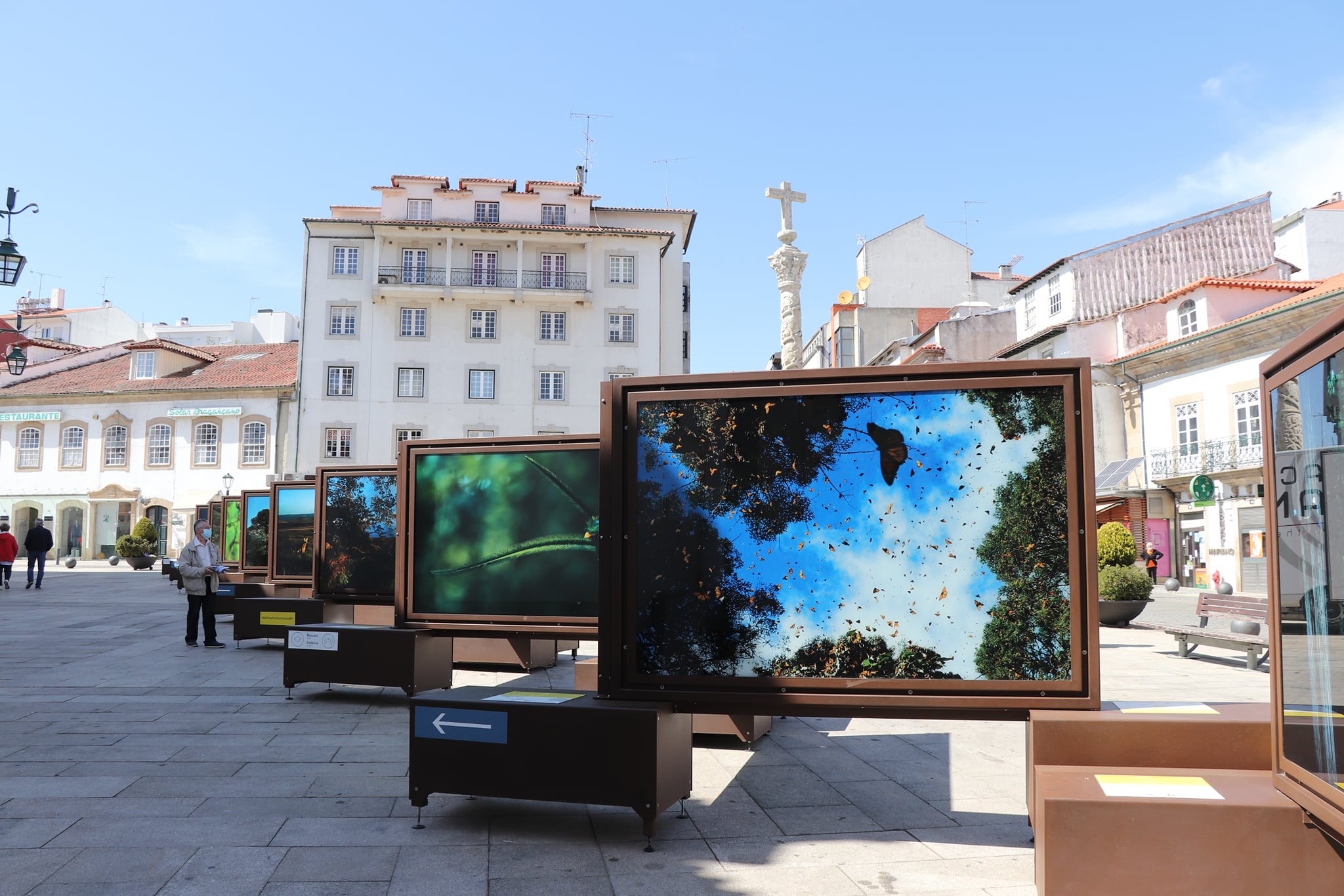 Exposição da National Geographic para conhecer de graça e ao ar livre em Bragança