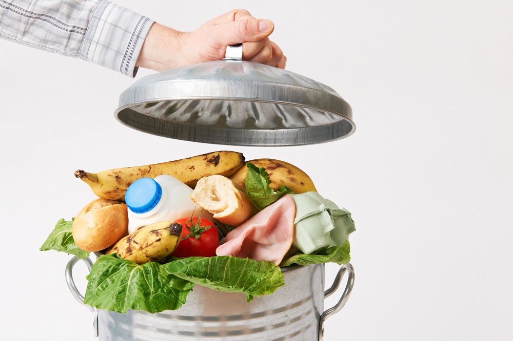 IPB e IAPMEI unidos pelo combate ao desperdício alimentar