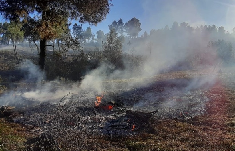 GNR deteve dois homens por incêndio florestal no concelho de Bragança
