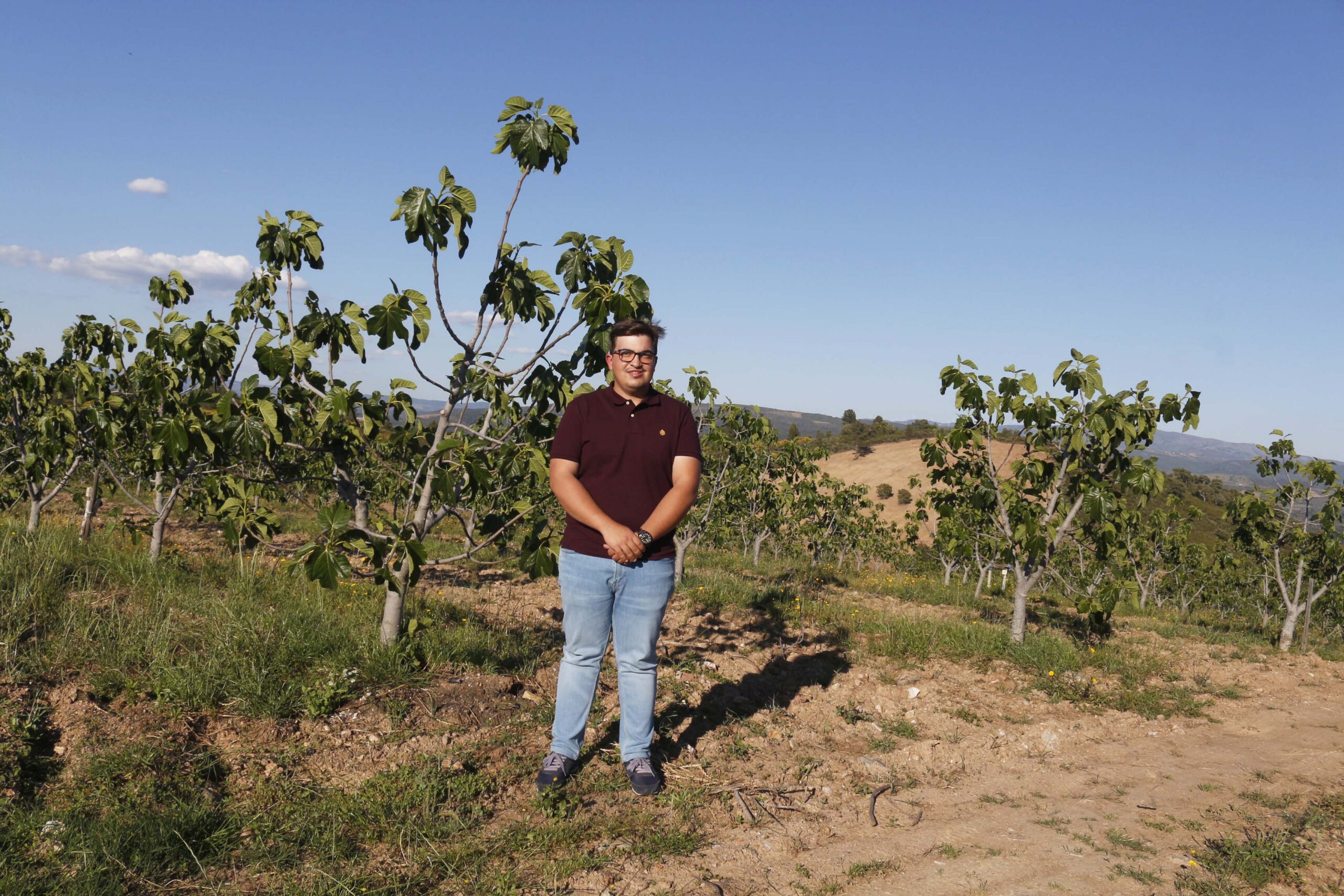 Aumento das explorações agrícolas dá mais vitalidade à agricultara em Trás-os-Montes