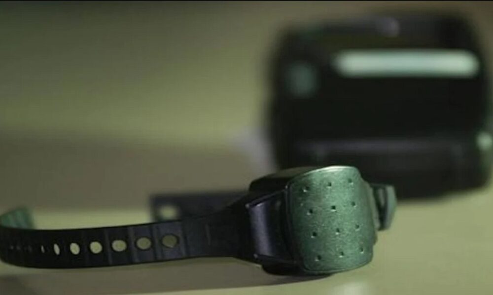 Homem fica com pulseira electrónica por agredir companheira no concelho de Miranda
