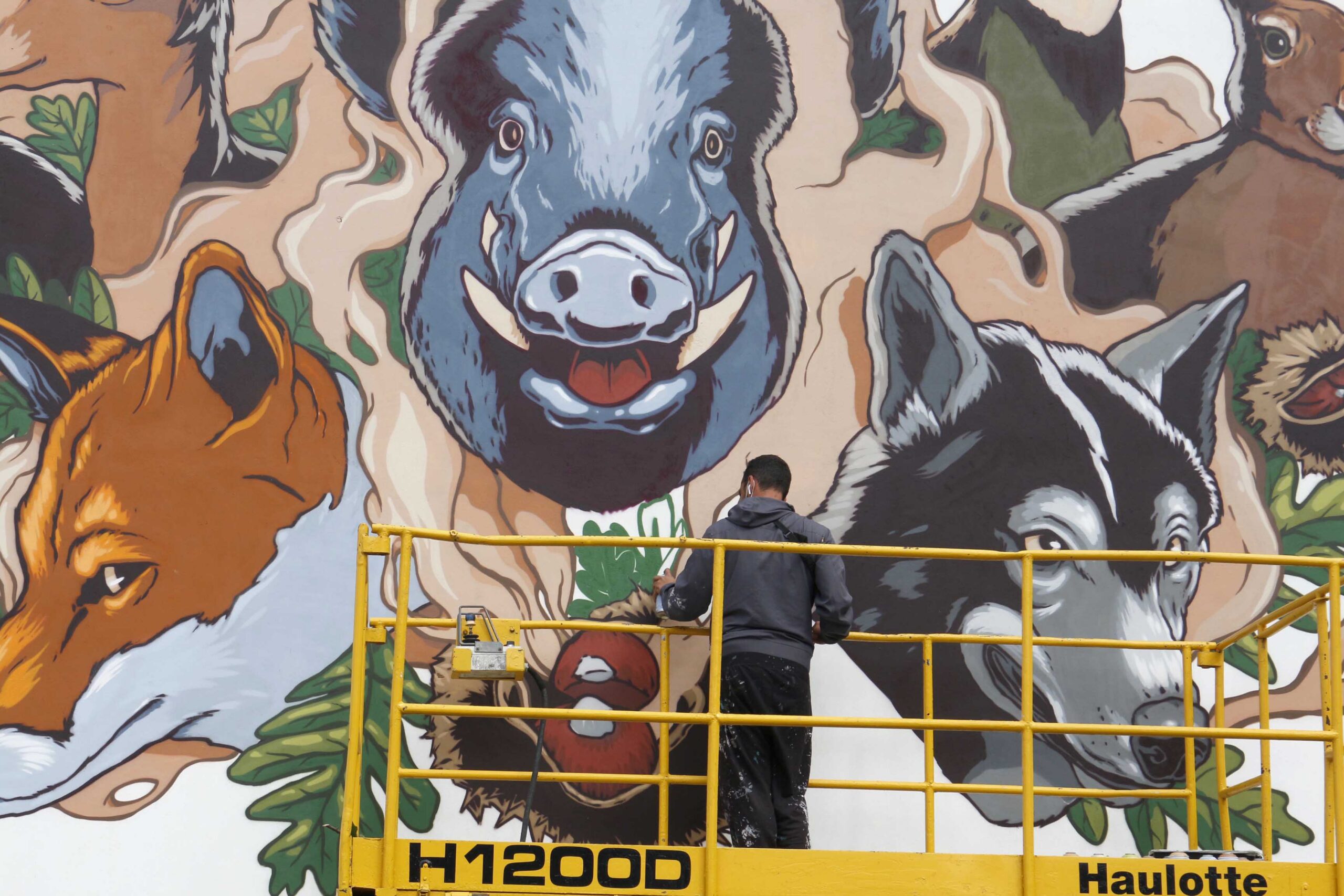 Festival Street Art de Bragança descentralizou-se para aldeias e não deixou população indiferente