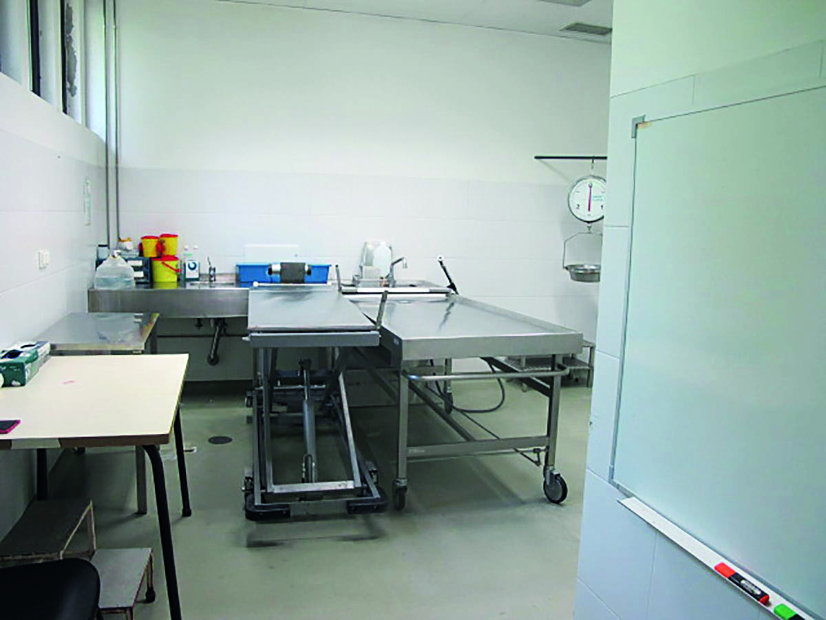 Instituto de Medicina Legal diz que não há atraso nas autópsias