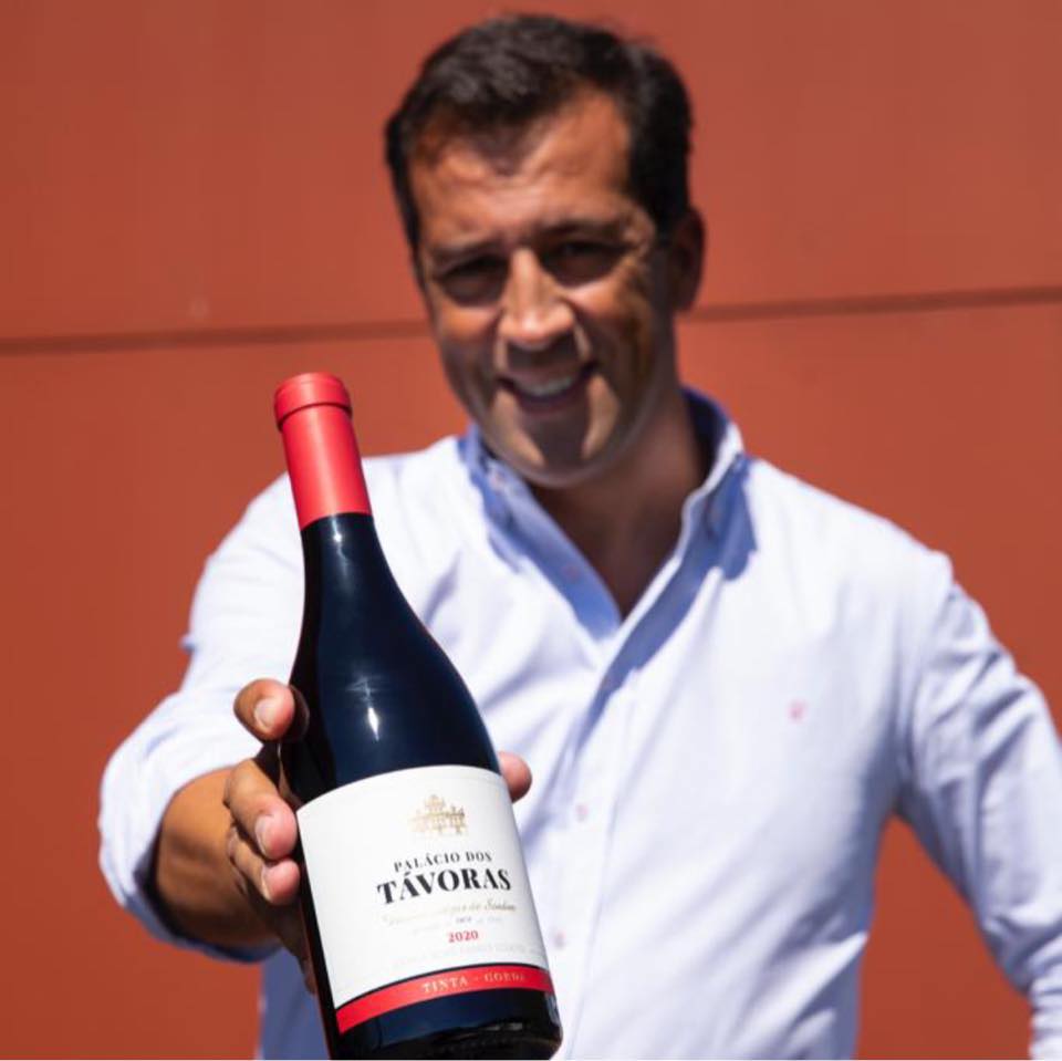 Vinha centenária de Sendim dá origem a primeiro Tinta Gorda de Portugal