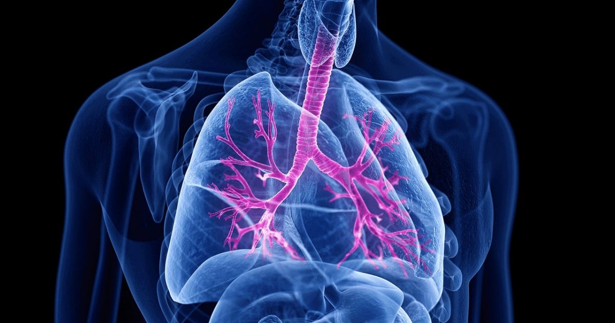 700 utentes do distrito que sofrem de doença pulmonar obstrutiva crónica sem cuidados de saúde