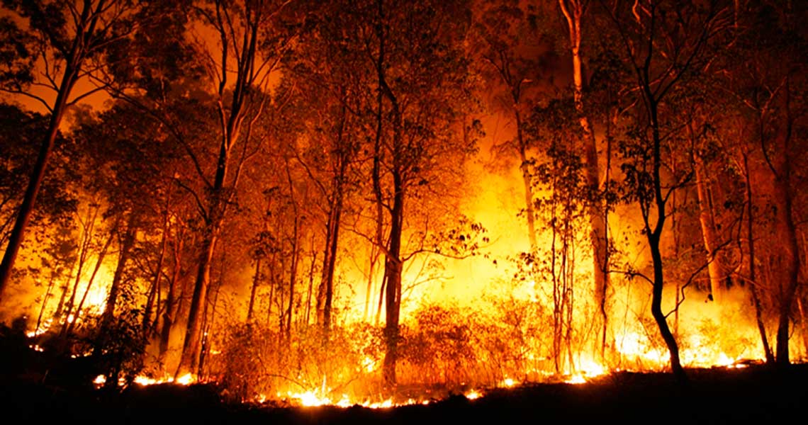 Dois incêndios no concelho de Freixo de Espada à Cinta: um deles em fase de rescaldo
