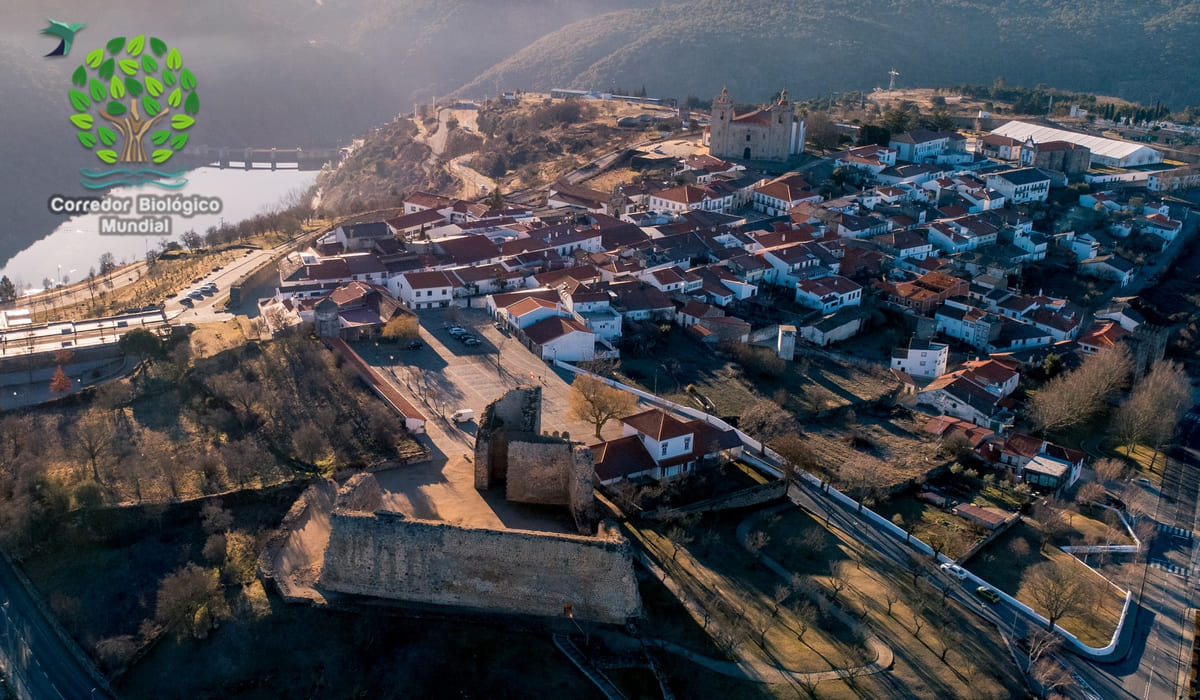 Município de Miranda do Douro alia-se a ONG para preservar biodiversidade