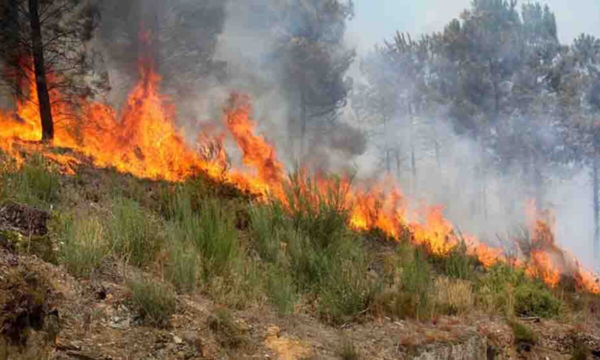 Prolongada situação de alerta devido ao risco de incêndio rural