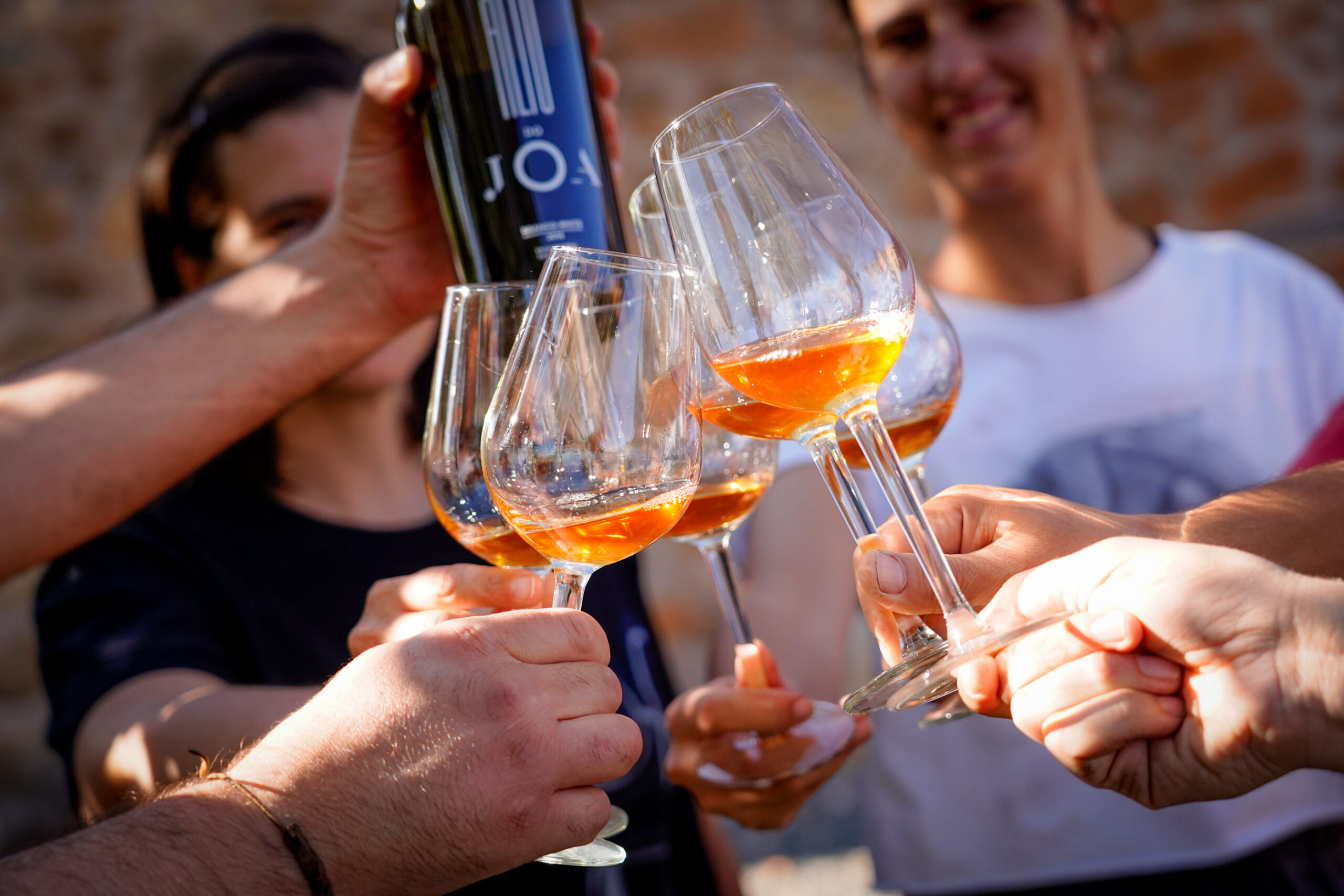 Uvas em “razoável quantidade” prometem vinho de boa qualidade em Trás-os-Montes