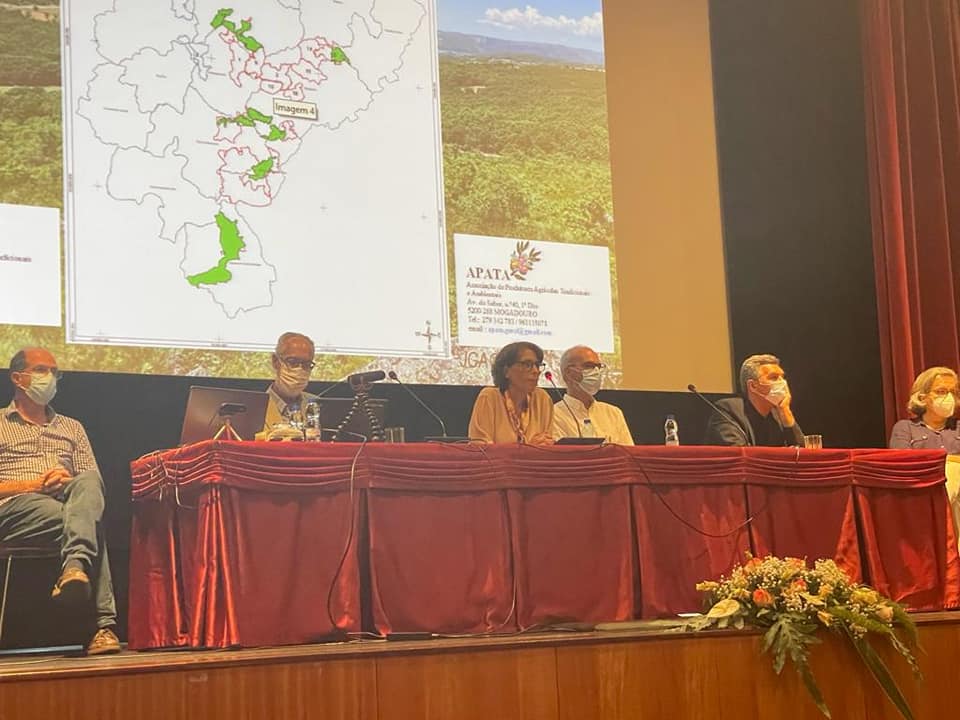 Directora do Norte do ICNF destaca áreas integradas de gestão de paisagem como oportunidade “única” para atrair gente